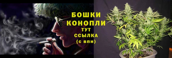 ешки Елизово