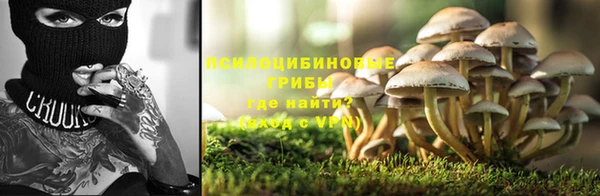 кокаин премиум Ельня