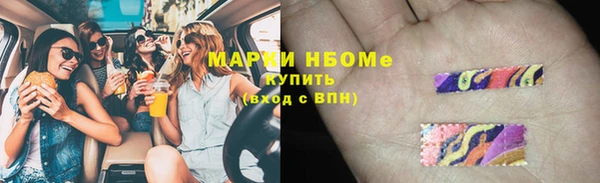 гашик Елабуга