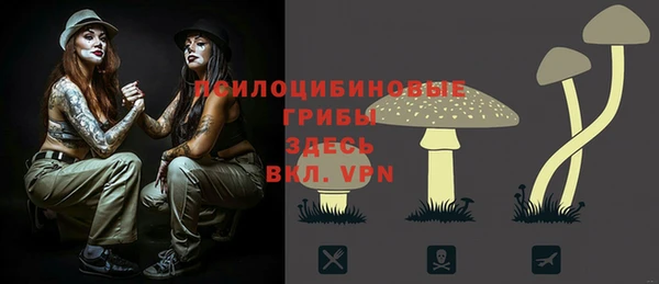 ешки Елизово