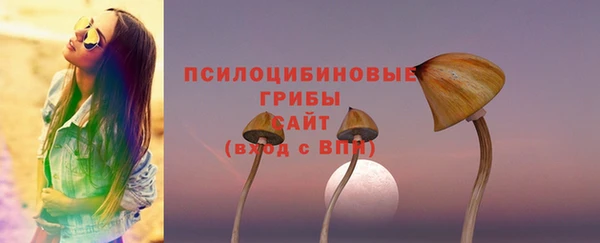 кокаин премиум Ельня