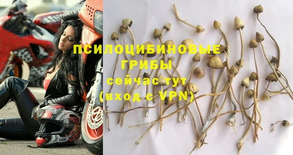 кокаин премиум Ельня