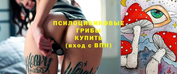 ешки Елизово