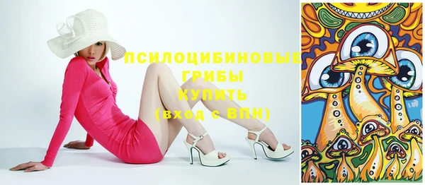 ешки Елизово