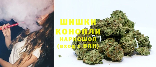 ешки Елизово