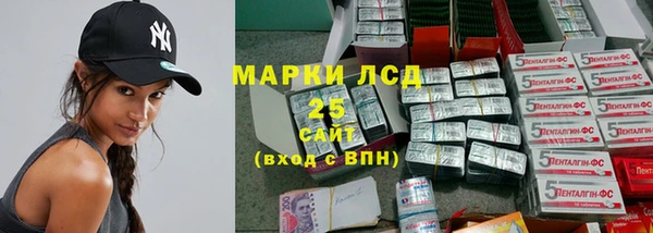 гашик Елабуга