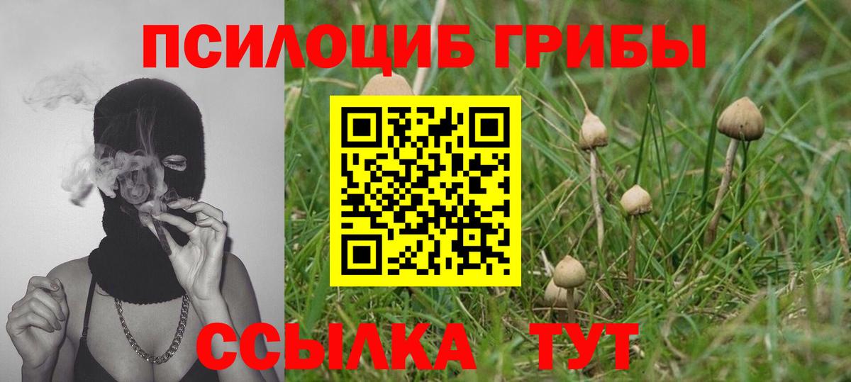 Псилоцибиновые грибы Cubensis  Псилоцибиновые грибы Magic Shrooms  Зерноград  купить наркотик  Вход с VPN 